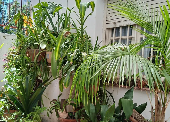 Habitacion Privada Zona Centro, Tribunales Y Patio Olmos