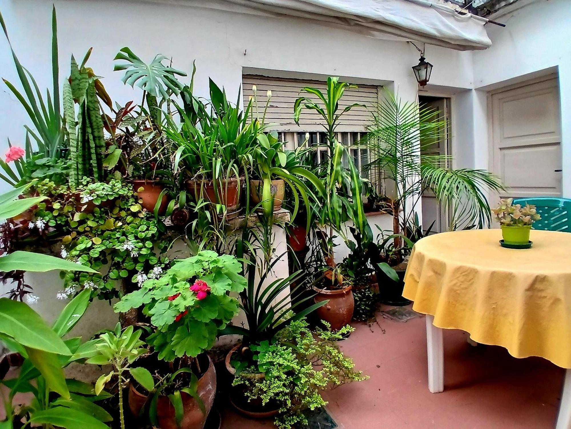 Habitación en casa particular Privada Zona Centro, Tribunales Y Patio Olmos
